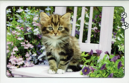 Prachtige kaart met kitten in bloementuin.