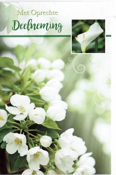 Hedendaags Oprechte deelneming condoleance kaart met bloemen MS-02