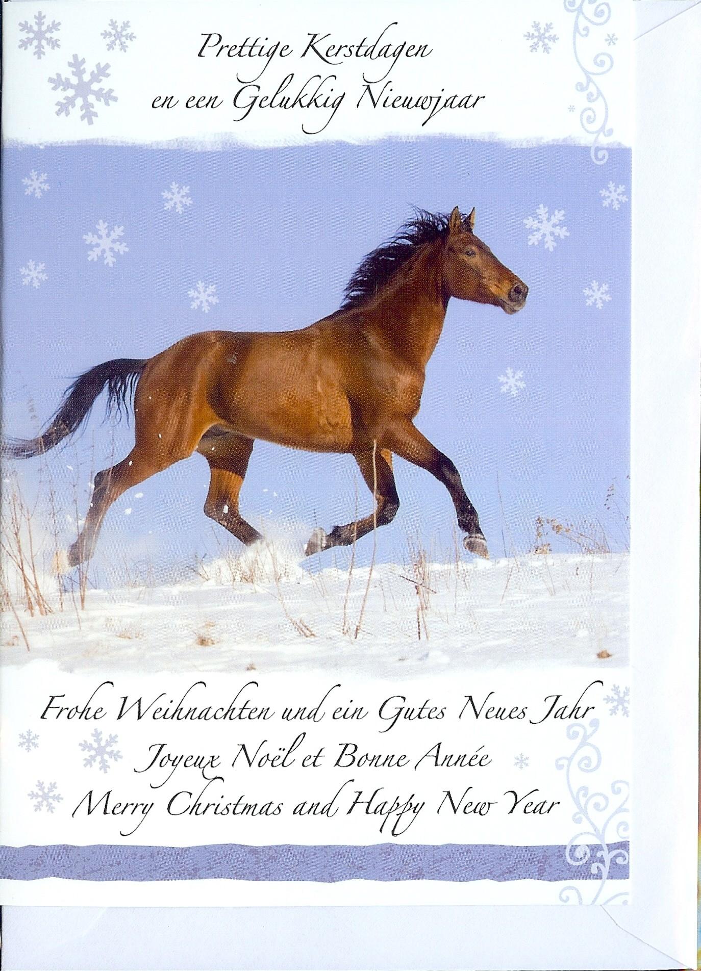 Kerstkaarten met paarden online kopen