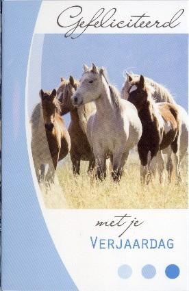 Verwonderlijk Verjaardagskaart met paarden. bestel ze online AG-43