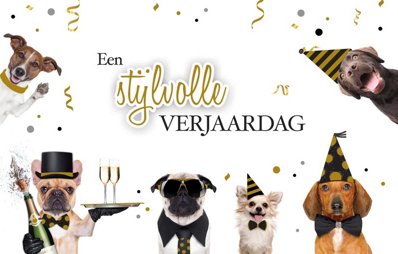 Beste Verjaardagskaart met feestelijke honden | Wenskaartenshop RG-15