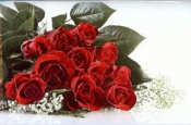wenskaart rode rozen