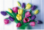 Boeket paarse, gele en roze tulpen tegen witte achtergrond.