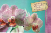 Felicitatiekaart met met mooie orchideeen