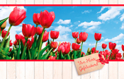 Rode tulpen in bloei tegen een blauwe lucht. Rechts een kaart met de tekst "Van harte gefeliciteerd".