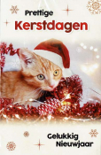 Rood-witte kat met kerstmuts, omringd door rood lint. Tekst: "Prettige Kerstdagen Gelukkig Nieuwjaar". Sneeuwvlokken op achtergrond.