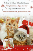 Twee kittens in een mand, één met een kerstmuts. Tekst in vier talen wenst prettige kerstdagen en een gelukkig nieuwjaar.