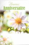 Witte bloem met roze randjes in bloei, tekst "Heureux Anniversaire" erboven in groen op een verjaardagskaart.