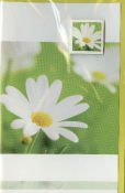 neutrale bloemenkaart margriet