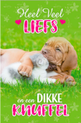Jonge puppy knuffelt zacht speeltje op groen gras. Tekst: "Heel veel liefs en een dikke knuffel" in roze en witte letters.