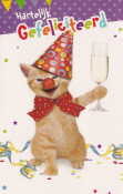 Verjaardagskaart met een feestelijke poes