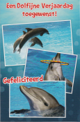 Twee foto's van dolfijnen in de zee. Tekst: "Een Dolfijne Verjaardag toegewenst!" en "Gefeliciteerd".