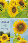 Zonnebloemen met groene bladeren en blauwe lucht. Tekst: "Gefeliciteerd met je Verjaardag!"