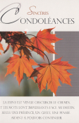 Condoléancekaart met rode herfstbladeren. Tekst: "Sincères Condoléances." Onder: Franse tekst van troost over aanwezigheid, gebaren, gedachten.