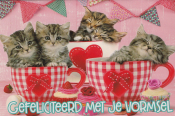 Vier kittens in rode mokken met harten en strikjes tegen een roze achtergrond. Tekst: "Gefeliciteerd met je vormsel." Cupcakes op de voorgrond.