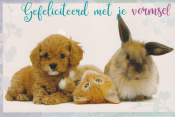 Hond, kitten en konijn naast elkaar, met tekst: "Gefeliciteerd met je vormsel" erboven in sierletters.