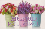 Drie bloempotten met kleurrijke bloemen: rood, paars en roze. Tekst: "Gefeliciteerd met je vormsel".