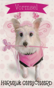 Hond in roze feeënkostuum met vleugels en bloemenaccessoires. Tekst boven: "Vormsel". Onder: "Hartelijk Gefeliciteerd".