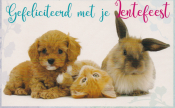 Hondje, kitten en konijn samen op een kaart. Tekst: "Gefeliciteerd met je Lentefeest".