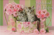 Twee kittens in een bloemenmand, omringd door roze bloemen in vazen. Tekst: "Gefeliciteerd met je Lentefeest."