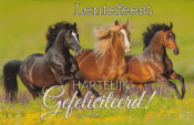 Drie galopperende paarden in een bloemenveld, met de tekst "Lentefeest" en "Hartelijk Gefeliciteerd!"