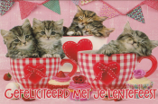 Kittens in rood-witte mokken met hartjes, omringd door cupcakes. Tekst: "Gefeliciteerd met je lentefeest".