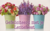 Drie kleurrijke bloempotten met bloemen en de tekst "Gefeliciteerd met je Lentefeest".