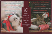 10 luxe kerst- en nieuwjaarskaarten met enveloppen, illustraties van katten met cadeaus en kerstdecoraties, tekst in verschillende talen.