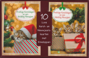 Drie slapende kittens in cadeaudozen met kerstmutsen. Tekst: "Prettige Kerstdagen en een Gelukkig Nieuwjaar." 10 luxe kerst- en nieuwjaarskaarten met enveloppen.