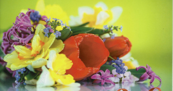 Accumulatie Mooie jurk Specimen Klassieke gefeliciteerd kaart met ruiker bloemen uit de tuin.