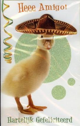 Heee Amigo! Hartelijk gefeliciteerd! (luxe kaart) tekst binnezijde: Have a great fiesta!
