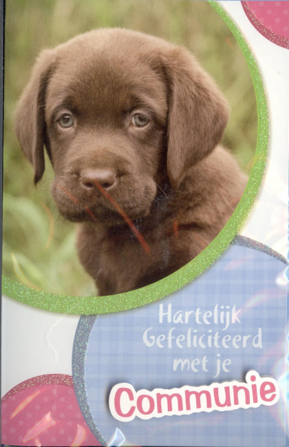 Hartelijk gefeliciteerd met je communie! 