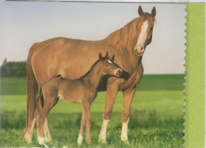 Afbeeldingskaart met paarden