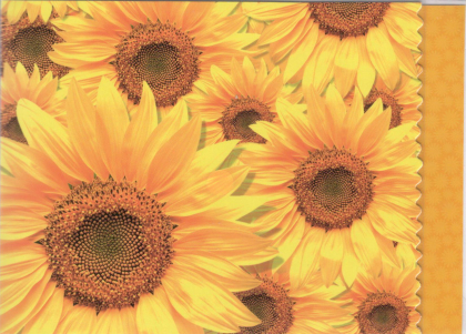 Beterschapskaart met zonnebloemen