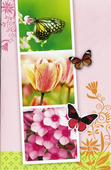 Blanco natuurkaart met Vlinders en bloemen