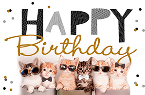 Coole Happy Birthday kaart met kittens.