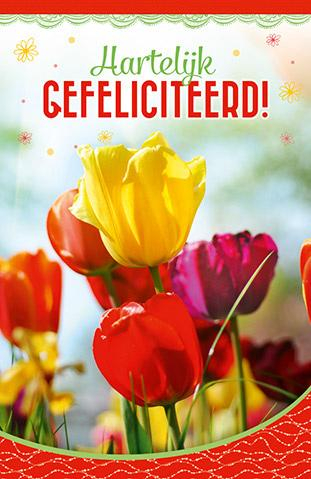Felicitatiekaart met tulpen in frame