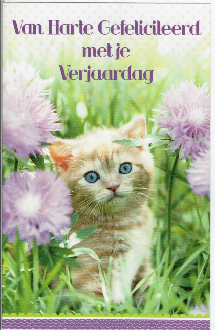 Gefeliciteerdkaart met kitten.