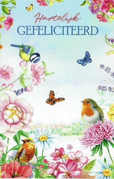 getekende felicitatiekaart met vlinders, bloemen vogels