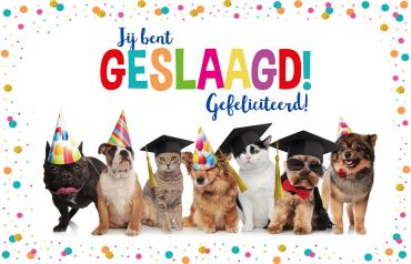 Jij bent geslaagd! Gefeliciteerd!