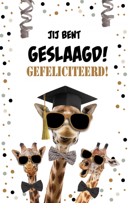 Jij bent geslaagd! Gefeliciteerd! 