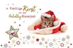 Kerst en Nieuwjaarskaart met kitten