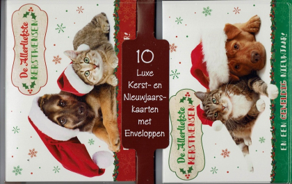 Kerstdoosjes met 10 dieren kerstkaartjes met enveloppe