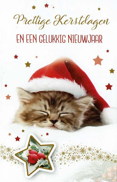 Kerstkaart met super schattig poesje