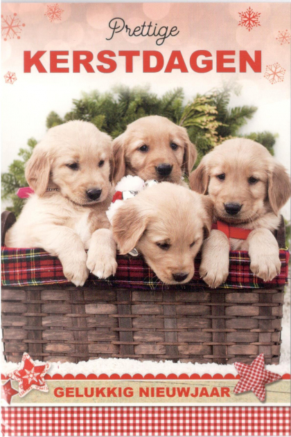 Kerstkaarten met schattige puppies