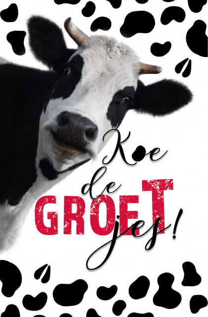 Ludieke kaart met koe voor groetjes.