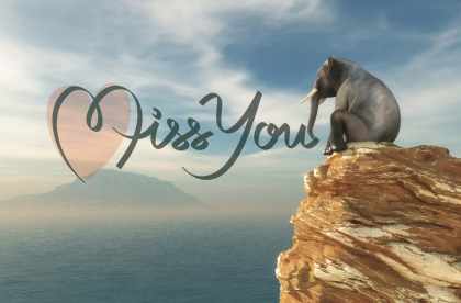 Miss You kaart met Olifant op rots in de oceaan.