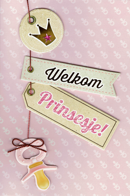 Mooie geboortekaart voor een prinsesje.