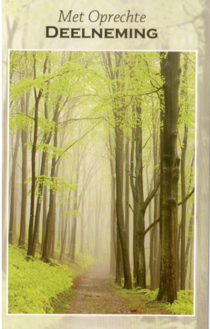 Neutrale condoleancekaart - rouwkaart met weg met bomen