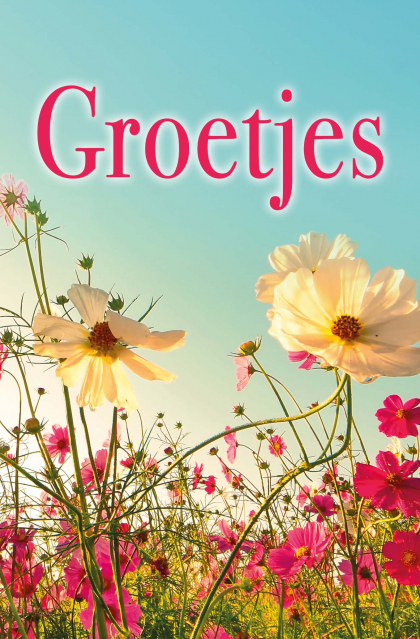 Prachtige groetjes kaart met veldbloemen.